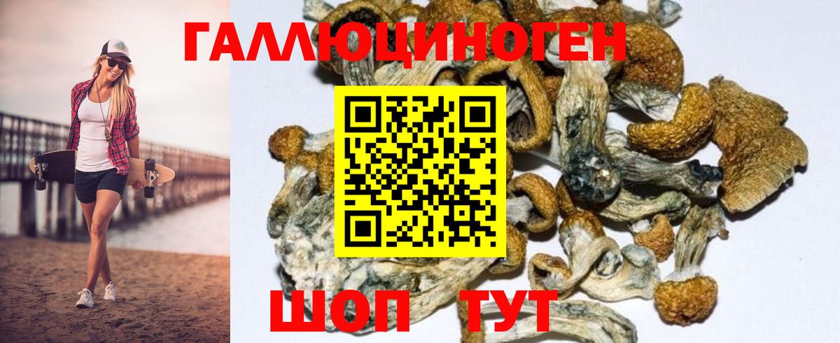 Псилоцибиновые грибы GOLDEN TEACHER  Псилоцибиновые грибы ЛСД  Фрязино  Вход с VPN 
